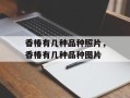 香椿有几种品种照片，香椿有几种品种图片