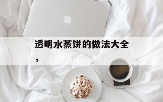 透明水蒸饼的做法大全，