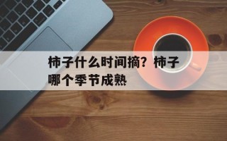 柿子什么时间摘？柿子哪个季节成熟
