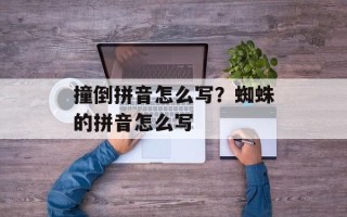 撞倒拼音怎么写？蜘蛛的拼音怎么写