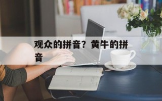 观众的拼音？黄牛的拼音