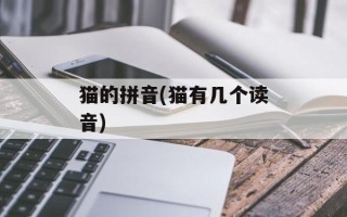 猫的拼音(猫有几个读音)