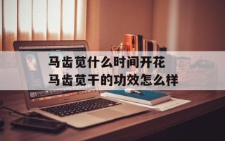 马齿苋什么时间开花 马齿苋干的功效怎么样