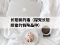 长翅膀的猪（探究长翅膀猪的特殊品种）