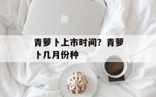 青萝卜上市时间？青萝卜几月份种
