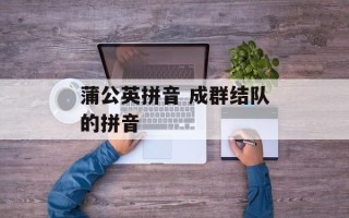 蒲公英拼音 成群结队的拼音
