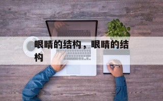眼睛的结构，眼睛的结构