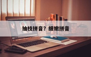 抽枝拼音？细嫩拼音