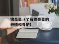 锦晃星（了解锦晃星的种植和养护）