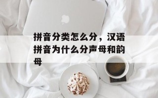 拼音分类怎么分，汉语拼音为什么分声母和韵母