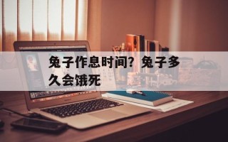 兔子作息时间？兔子多久会饿死