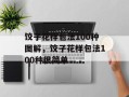 饺子花样包法100种图解，饺子花样包法100种很简单