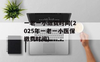 一老一小缴费时间(2025年一老一小医保缴费时间)