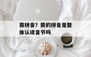 需拼音？需的拼音是整体认读音节吗