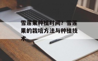 雪莲果种植时间？雪莲果的栽培方法与种植技术
