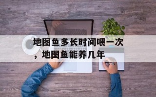 地图鱼多长时间喂一次，地图鱼能养几年
