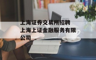 上海证券交易所招聘 上海上证金融服务有限公司