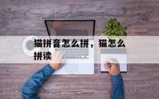猫拼音怎么拼，猫怎么拼读