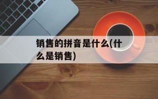 销售的拼音是什么(什么是销售)