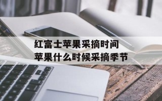 红富士苹果采摘时间 苹果什么时候采摘季节