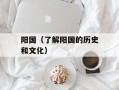 阳国（了解阳国的历史和文化）