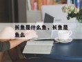 长鱼是什么鱼，长鱼是鱼么