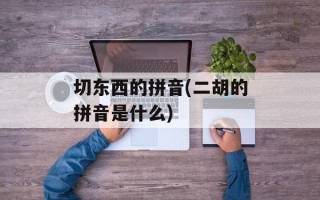 切东西的拼音(二胡的拼音是什么)