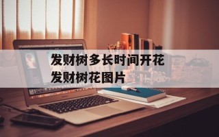 发财树多长时间开花 发财树花图片