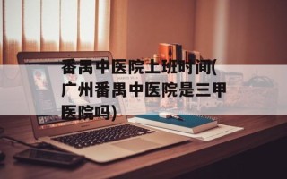 番禺中医院上班时间(广州番禺中医院是三甲医院吗)