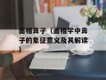 面相鼻子（面相学中鼻子的象征意义及其解读）