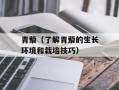 青藜（了解青藜的生长环境和栽培技巧）