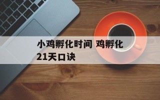 小鸡孵化时间 鸡孵化21天口诀
