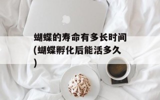 蝴蝶的寿命有多长时间(蝴蝶孵化后能活多久)