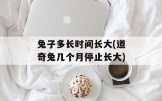 兔子多长时间长大(道奇兔几个月停止长大)
