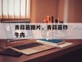 青蒜苗图片，青蒜苗炒牛肉