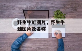 野生牛蛙图片，野生牛蛙图片及名称