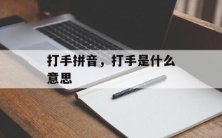 打手拼音，打手是什么意思