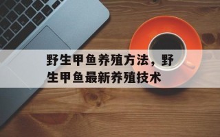 野生甲鱼养殖方法，野生甲鱼最新养殖技术