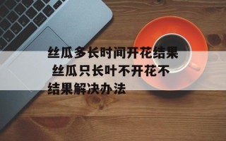 丝瓜多长时间开花结果 丝瓜只长叶不开花不结果解决办法