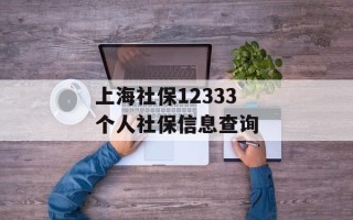 上海社保12333 个人社保信息查询