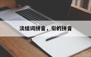 淡组词拼音，引的拼音