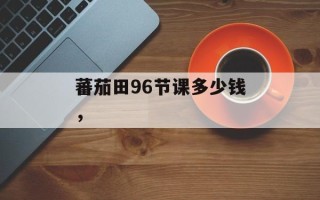 蕃茄田96节课多少钱，