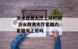 沂水政务大厅上班时间 沂水政务大厅星期六星期天上班吗