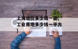 上海地价多少钱一亩(工业用地多少钱一平方)