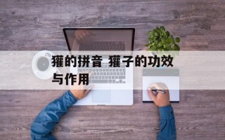 獾的拼音 獾子的功效与作用
