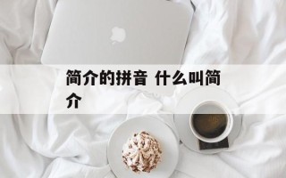 简介的拼音 什么叫简介