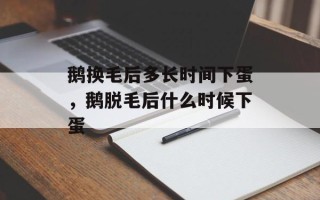 鹅换毛后多长时间下蛋，鹅脱毛后什么时候下蛋