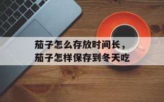 茄子怎么存放时间长，茄子怎样保存到冬天吃