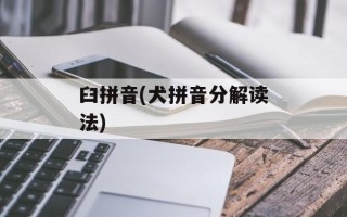 臼拼音(犬拼音分解读法)
