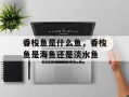香梭鱼是什么鱼，香梭鱼是海鱼还是淡水鱼